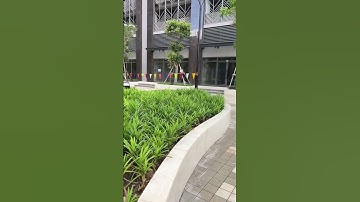 Mảng xanh tuyệt vời ở Q7 SÀI GÒN RIVERSIDE COMPLEX