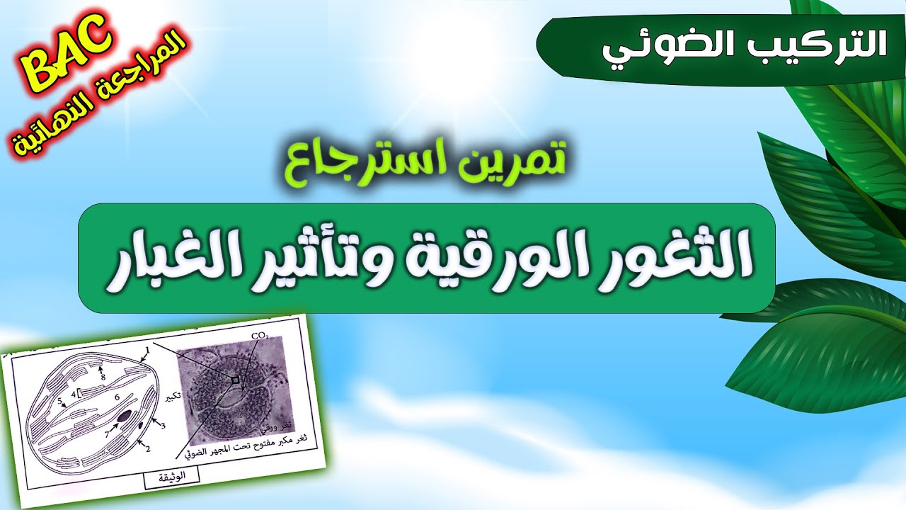 🏆تمرين استرجاع حول المرحلة الكيموحيوية⚡حالة خلل الملوثاتوالثغور الورقية |وحدة التركيب الضوئ🍀بكالوريا