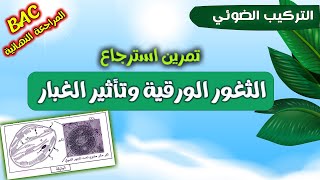 🏆تمرين استرجاع حول المرحلة الكيموحيوية⚡حالة خلل الملوثاتوالثغور الورقية |وحدة التركيب الضوئ🍀بكالوريا