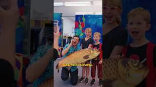 Magician Leif David “Under The Sea” theme BC library Summer Reading Club Magic Show!