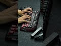 MechLands Vibe75 V2 #mechlands #keyboard #gamingcommunity #mechanicalkeyboard #typingasmr #desksetup