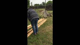 Bioconstruction. Preparing the wood.