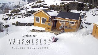 Lyden av vårfølelsen i Lofoten.