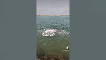 أروع قفزة سعيدية مرينة 