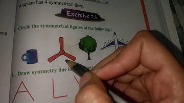 Ex-7.3 class-5 pseb maths