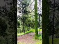 laal tibba mussoorie weather 🌡️☁️🌡️☁️🌡️☁️ me