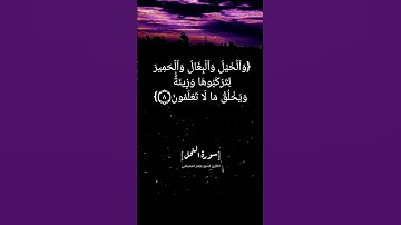 سورة النحل الآية ٥ الى ٩ بصوت الشيخ #ماهر_المعيقلي #القران_الكريم