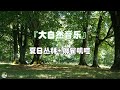 清晨音乐 适合晨跑锻炼 大自然音乐 跑步放松疲惫 瑜珈音乐