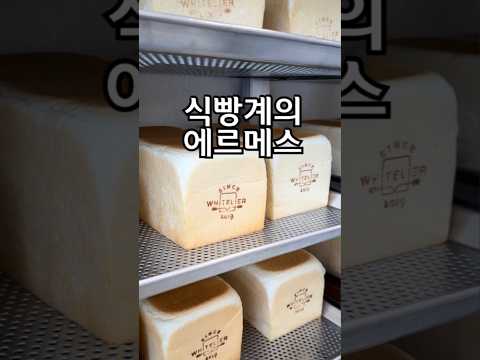 화이트리에 화명점