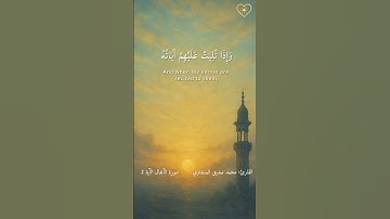 الذين اذا ذكر الله وجلت قلوبهم| محمد صديق المنشاوي| سورة الأنفال الآية 2