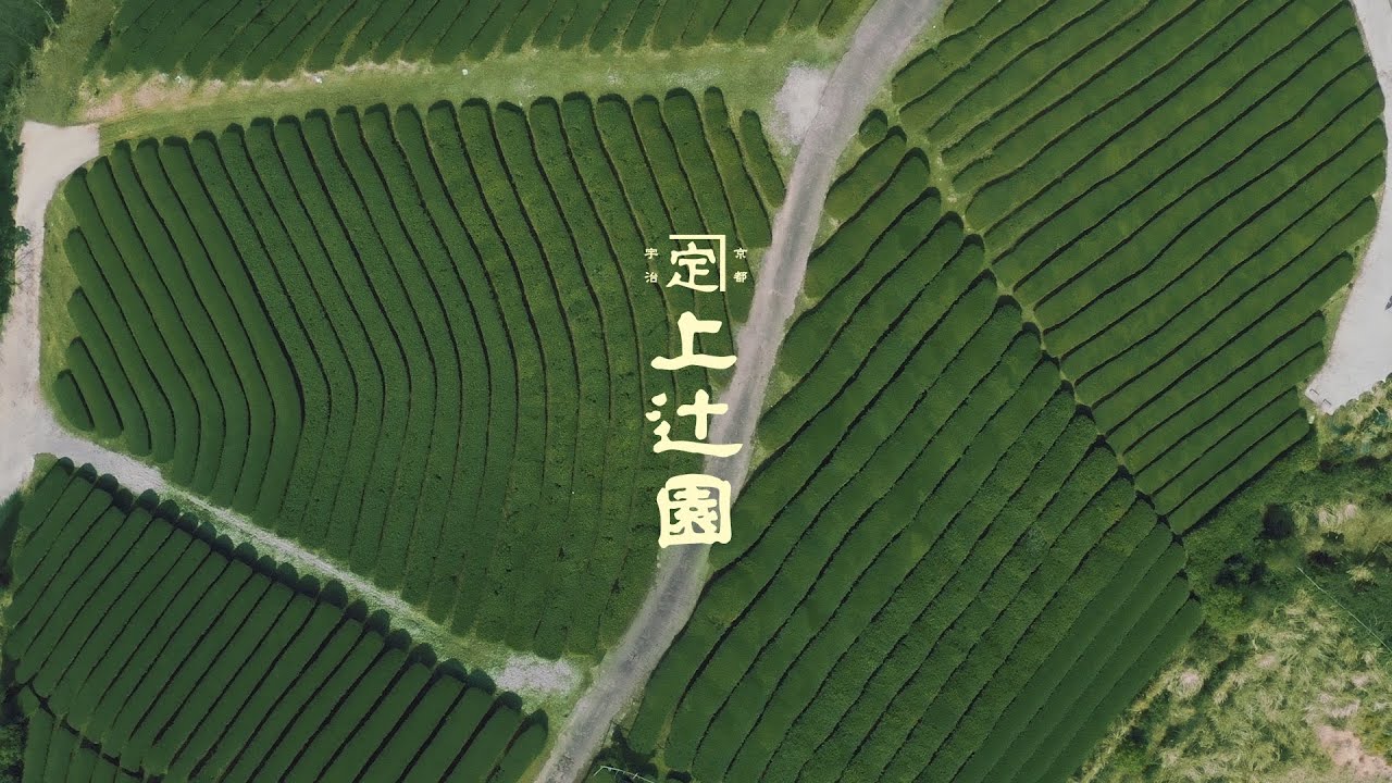 【Cinergia制作】10代目茶師が手掛ける渾身作の日本茶 京都上辻園 -Kyoto Kamitujien Best Japanese tea -