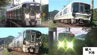 【JR和歌山線】土曜早朝に吉野口～掖上を通過する列車【続々列車】