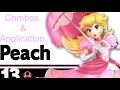 Full Combo Guide | Peach guide #1