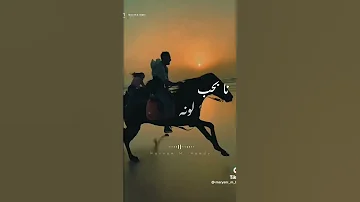 حبيت يا ابويا العرباوي 