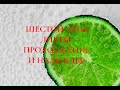 Продолжаем худеть! Шестой День Диеты!