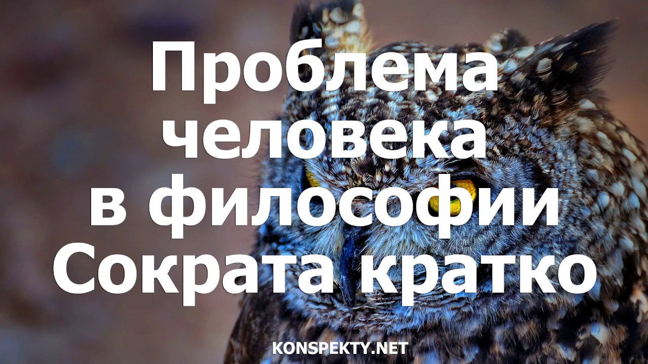 Контрольная работа по теме Проблема человека у софистов и Сократа