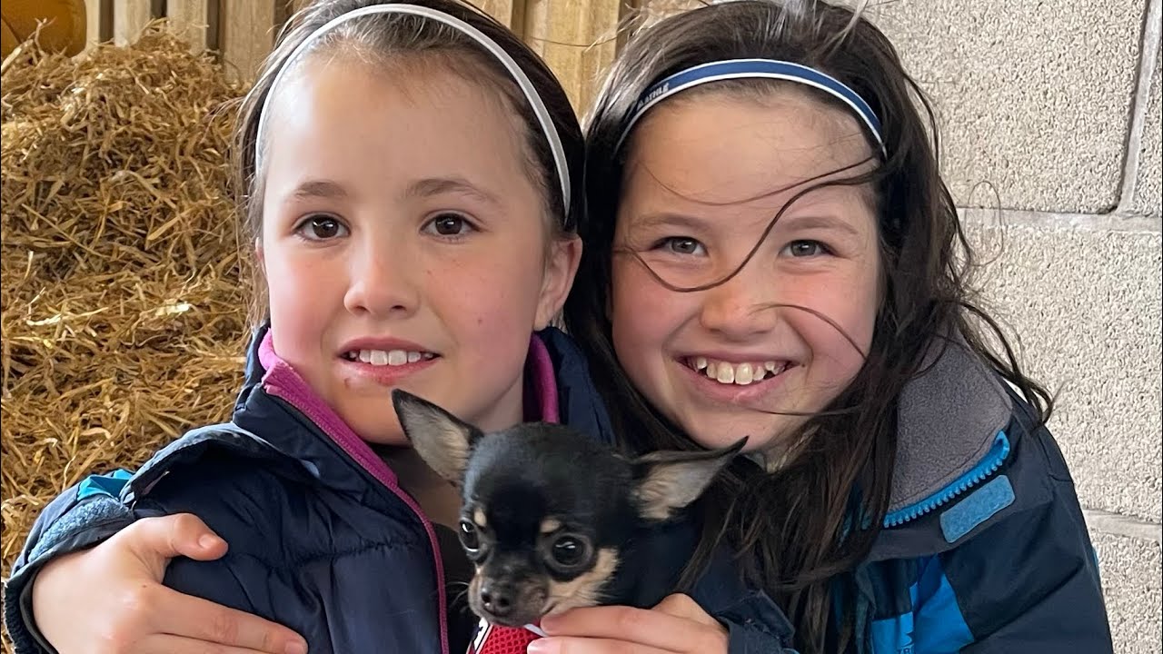 Wheelock Farm March 2022 with the family ♥️ YouTube