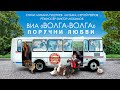 ВИА «Волга-Волга»  —  «Поручни любви»  (Official  Music Video)