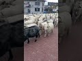 15 мая 2026 г.