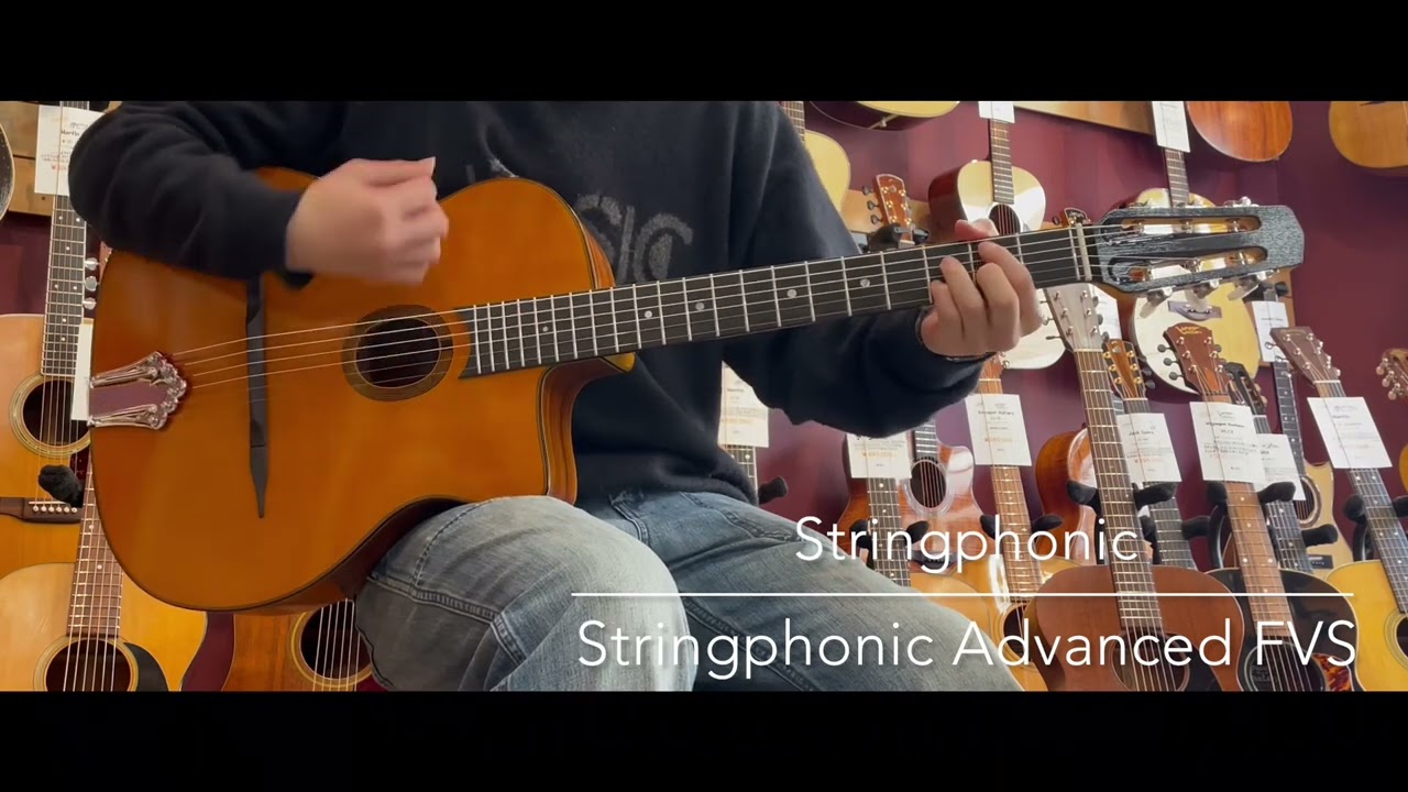 ギター Stringphonic Advanced FV Model Stringphonic Advanced FVS（新品）【楽器検索デジマート】