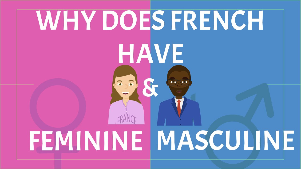 why-are-french-words-masculine-and-feminine-finally-understand-gender