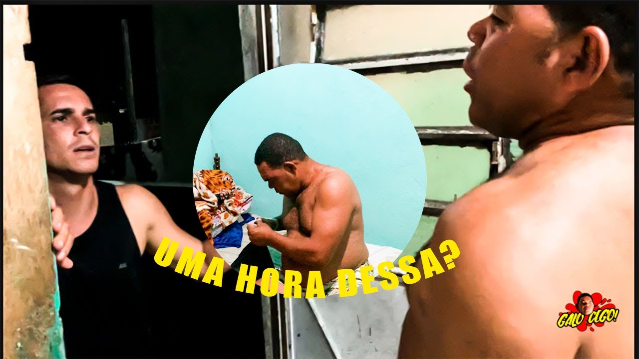 ERIK ACORDA GALO DE MADRUGADA PARA DAR MILHO 🌽 🤣 | GALO CEGO