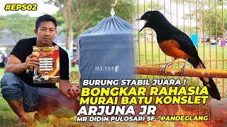 #EPS02 BONGKAR RAHASIA MURAI BATU KONSLET ARJUNA JR || BURUNG STABIL JUARA 😱 || MR DIDIN PANDEGLANG