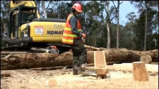 Chainsaw carving a chair Kevin Nunn using a chainsaw to carve a chair from a log. Learn how at http://www.advancetafe.edu.au/pages/courses/course.asp?