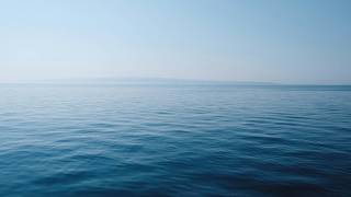 Exibits Of Sarton - Ocean
