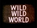 Waan  wild world