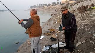 صيد سمك الكارب بالسنارة في بغداد نهر دجلة. Carp fishing in Baghdad dejla river