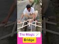 The Magic Bridge #magic #bride #shorts #viralvideo #shorts