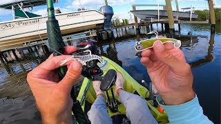 Back Country HOT BITE - These Two Little Lures Caught Tarpon, Snook, and Snapper!!!!