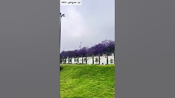أبها - القارئ عمر الدريويز - إن الله وملائكته يصلون على النبي- 2023