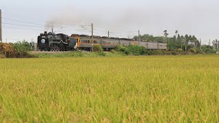 二水跑水節DT668專列｜6629次 社頭~田中