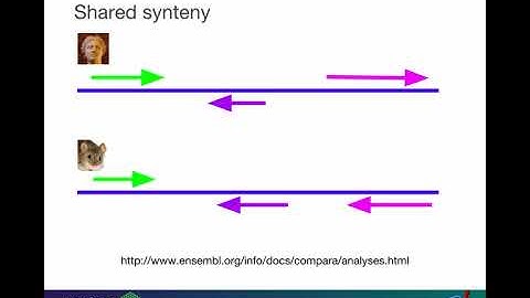 Ensembl compara, 2018 webinar series video 4
