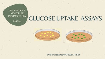 Glucose uptake assay - CBMP - Part 44