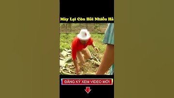 Quang Tèo, Bình Trọng Cười Vỡ Bụng | #shorts #phimhai #quangteo