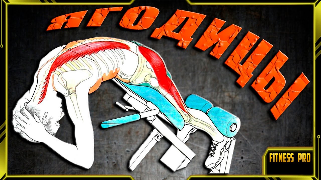 Гиперэкстензия на ЯГОДИЦЫ / Качаем ПОПУ - YouTube