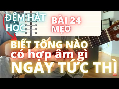 Biết Tông Gì Có Hợp Âm Gì Ngay Tức Thì | Guitar Đệm Hát Tay Ngang – Bài 24 mới nhất 2023