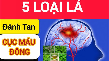 5 Loại Lá Đánh Tan Cục Máu Đông, Ngừa Tai Biến, Tốt Cho Tim Mạch