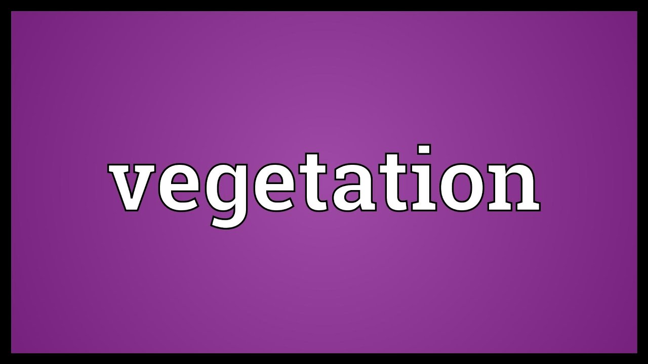 Vegetation Meaning  YouTube