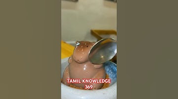 #SHORTS#SINGLE CAPYBARA CAKE.