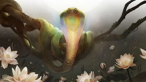 Legacy Cube Draft #1 - Drafting