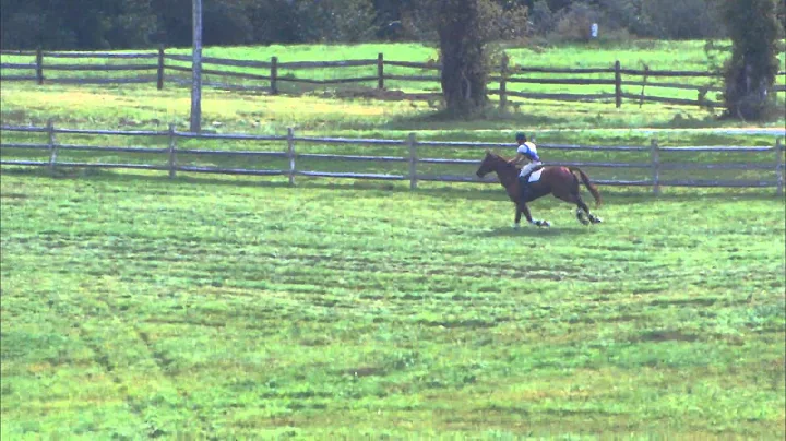 Jodi Henry "In Style" Plantation Field Internation...