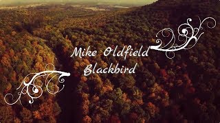 Mike Oldfield - Blackbird [video]