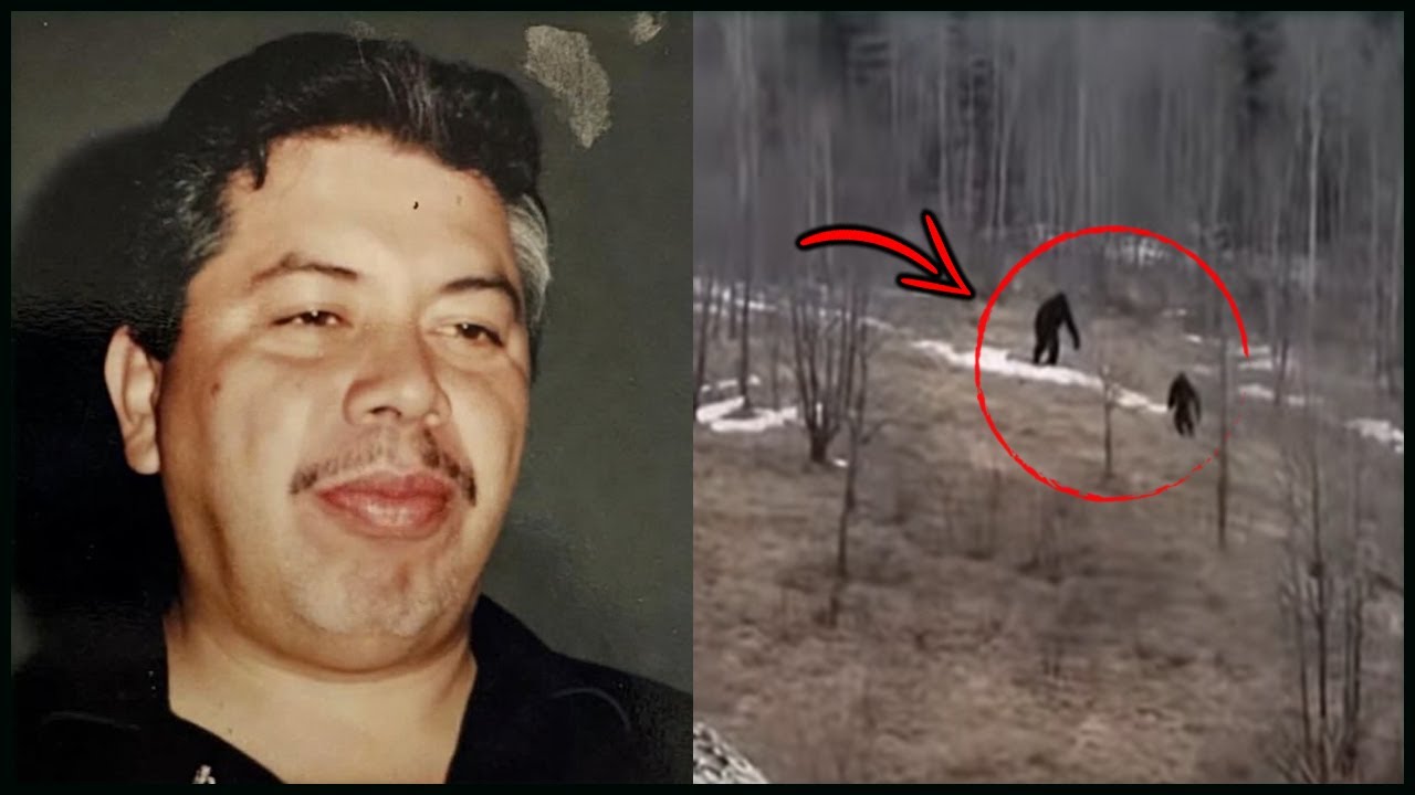 Мужчина, Увидевший Двух «Бигфутов» в Испанском Лесу — Через Несколько Часов Его Лагерь Был Разрушен.