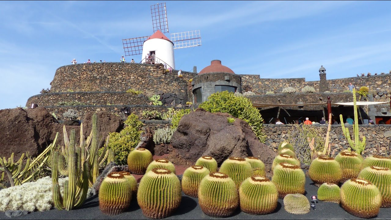 JARDIN DE CACTUS - LANZAROTE ATTRACTION
