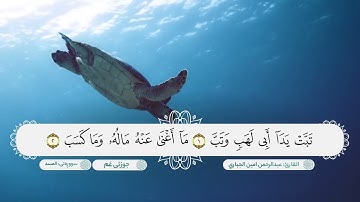 سورة المسد ترتيل بصوت القارئ عبدالرحمن امين الجباري