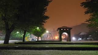 自然なリラックス音で深く眠る夜の音楽でリラックスするハープ睡眠を修復する